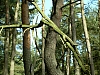 DSCN5883.jpg DSCN5883.jpg